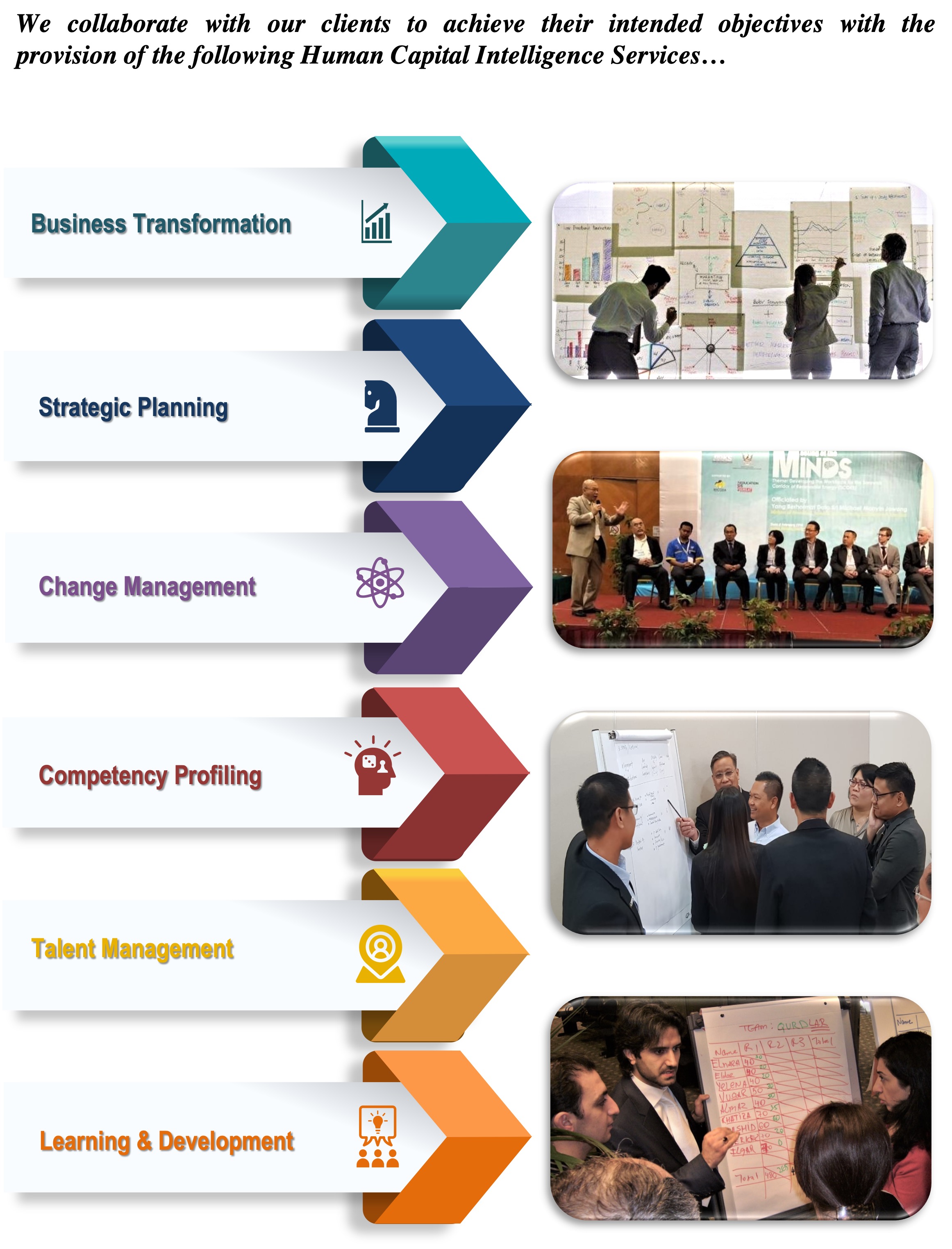 Human Capital Intelligence Consultancy